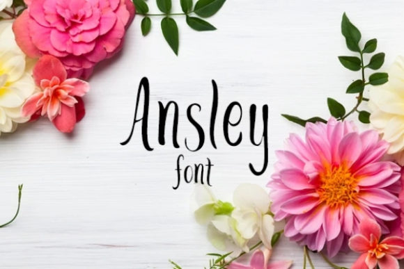 Ansley: The Handwritten Font for Bold Campaigns