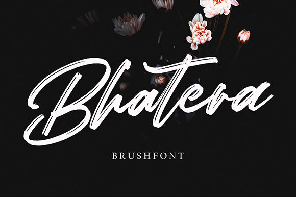 Bhatera Font: A Web Designer's Review