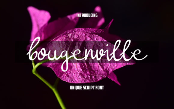 Bougenville Font: A Handwritten Typeface for Makers