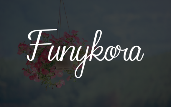 Funykora: The Handwritten Font for Scroll-Stopping Marketing