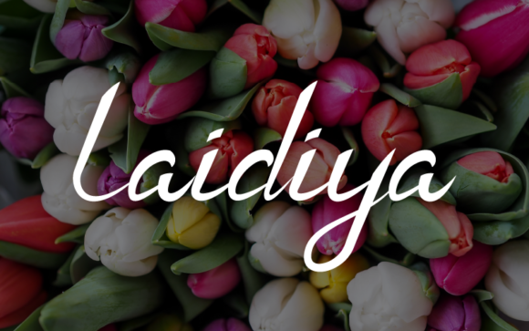 Laidiya: The Handwritten Font for Modern Campaigns