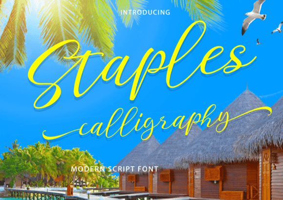 Staples Calligraphy: A Modern Script Font for Branding